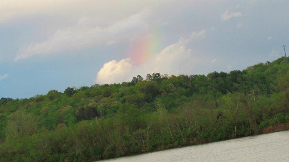 Elder Mountain Room At Tennessee Riverplace Chattanooga Esterno foto