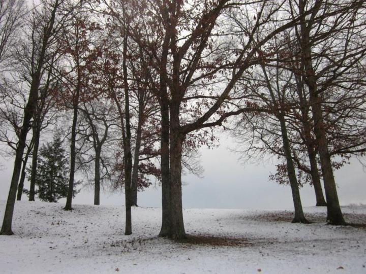 Elder Mountain Room At Tennessee Riverplace Chattanooga Esterno foto